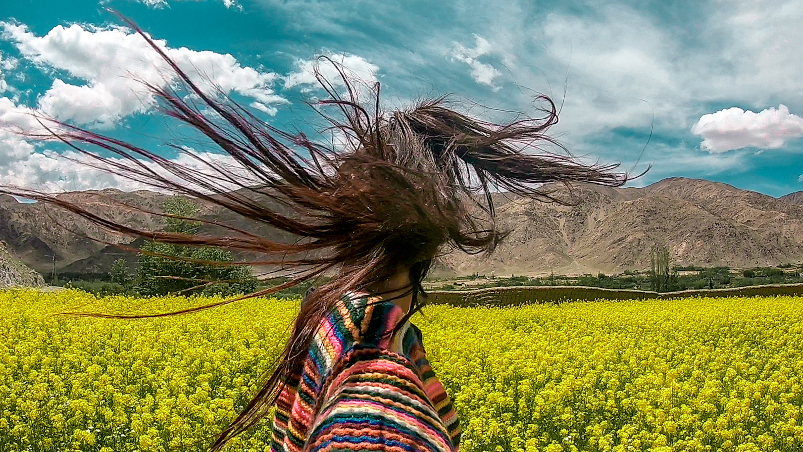 Nubra Valley To Pangong Lake Day Roving Rainbow